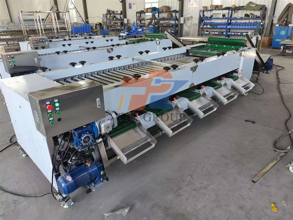 Carrot sorting machine (3)