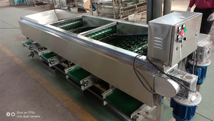 Mushroom Sorting Machine high quality