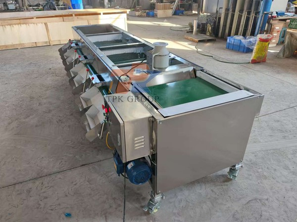 product-1706-1279 product-1706-1279