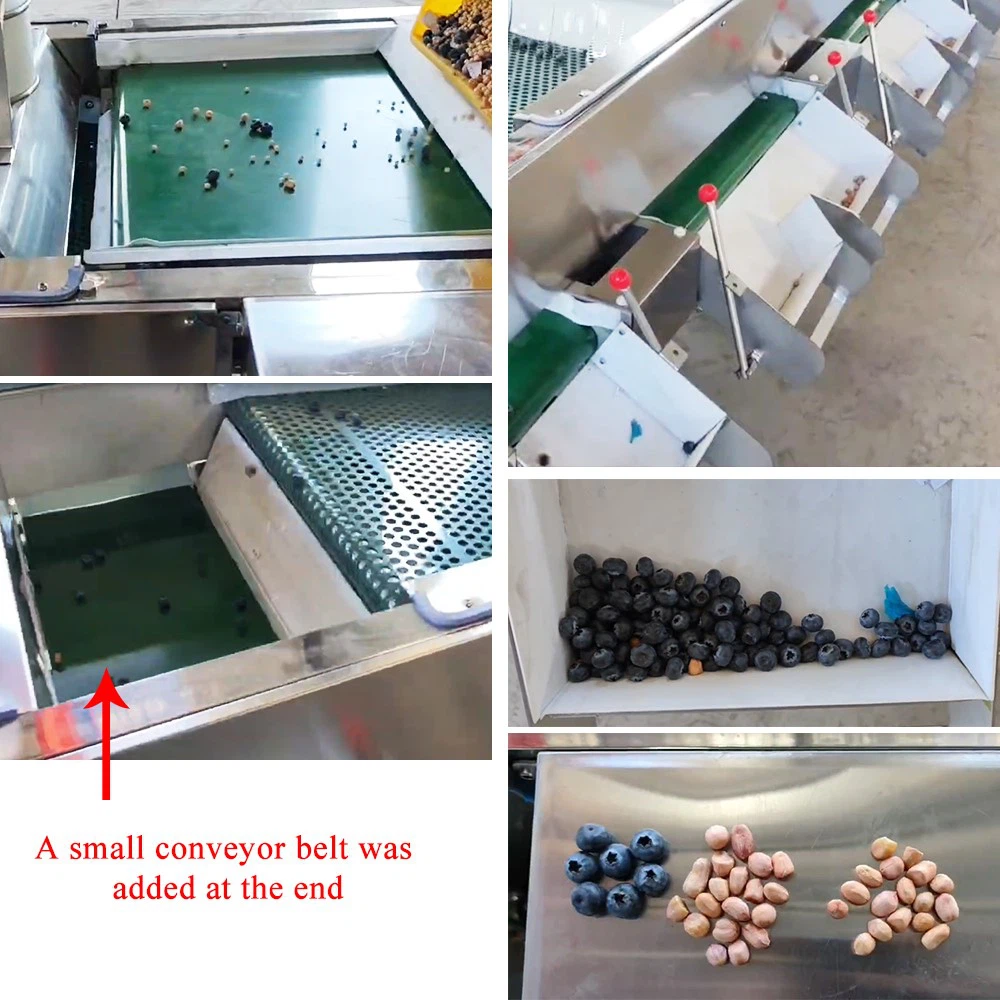 Blueberry sorting and selecting machine Blueberry sorting and selecting machine