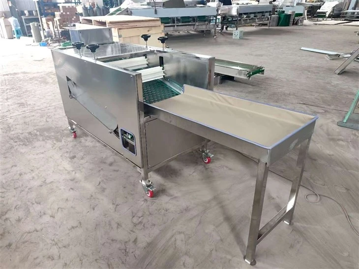 mushroom cutting (3)
