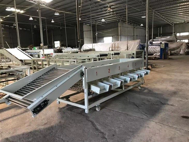 Tomato Fruit Sorting Machine high quality