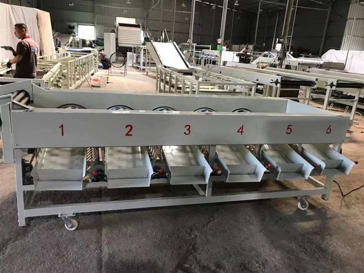 Tomato Fruit Sorting Machine high quality