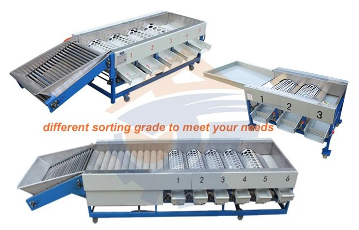 Tomato Fruit Sorting Machine suppliers